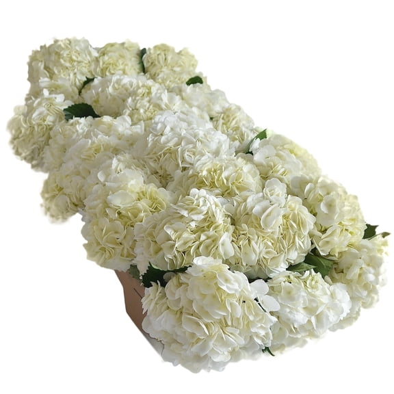 Kabloom Fresh Cut Flowers - 30 White Hydrangeas Bouquet with Next-Day Delivery