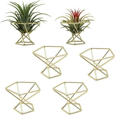 Growment 7.80” x 3.90” x 1.95” Golden Metal Air Plant Holder with Adjustable Support Rod