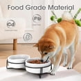 thumbnail image 4 of Ceramic Dog and Cat Bowl Set with Stand, 13.5oz Dog Food and Water Bowl Suitable for Small and Medium Pets (White), 4 of 8