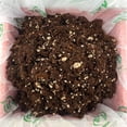 thumbnail image 5 of Noot Propagation Rescue Mix To Rescue Plants From Root Rot, Rapid Root Nodes & Cuttings. Coconut Husk, Fibers, Coir With Coarse Perlite., 5 of 9