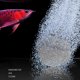thumbnail image 4 of Bomba de burbujas para tanque de peces aireadores de oxígeno de Likrtyny piedra de aire para acuario 2cm 3cm 4cm 5cm, 4 of 7