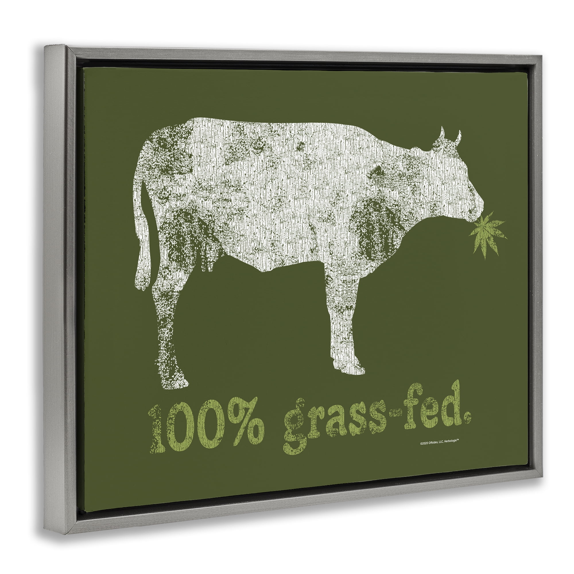 Stupell Industries Grass Fed Cow Animals Painting Gray Floater Framed Canvas Art Print Wall Art, 31 x 25