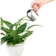 thumbnail image 5 of Garrafas,Regadera de acero inoxidable cepillado de estilo moderno, tamaño pequeño para plantas en la mesa de la oficina (500 ml) Vhermosa MZQ-0161, 5 of 5
