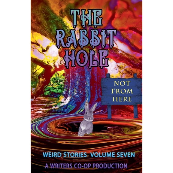 Rabbit Hole The Rabbit Hole VII: Not From Here, Book 7, (Paperback)