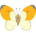 thumbnail image 2 of CafePress - Fantasy Butterfly 2 - Cute Infant Baby Football Bodysuit, 2 of 3