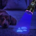 thumbnail image 2 of High power UV flashlight, LED USB rechargeable black light flashlight for UV irradiation, 2 of 5