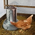 thumbnail image 2 of Farm Innovators 125W Heated Base for Metal Poultry Founts, 2 Pack, Metallic, 2 of 8