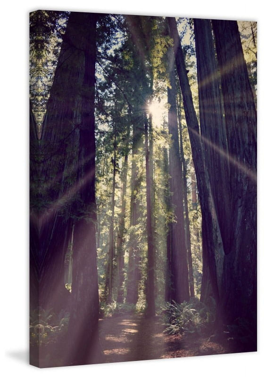 Marmont Hill "Redwoods Hike" by Robert Dickinson Painting Print on Canvas