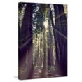 thumbnail image 2 of Marmont Hill "Redwoods Hike" by Robert Dickinson Painting Print on Canvas, 2 of 7