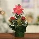 thumbnail image 2 of Cuatro Mini árboles de Navidad Adornos de mesa de Navidad Tela brillante Árboles pequeños No tejido Plata Rojo Oro Arco Decoraciones para árboles de Navidad 20 * 11 cm, 2 of 4