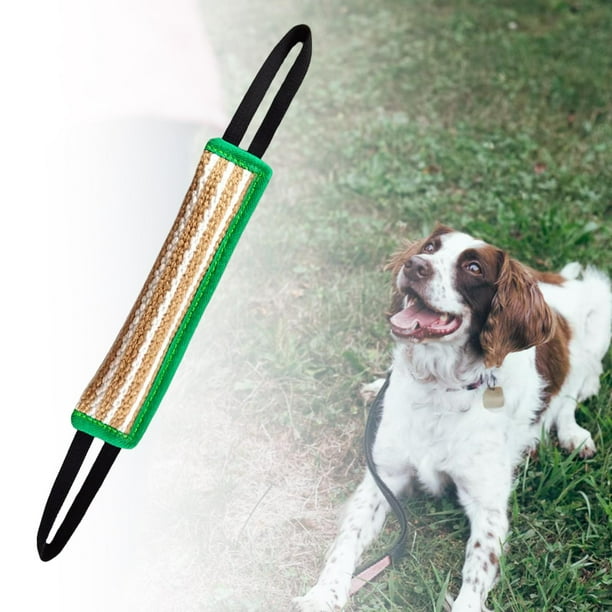 Tug Toy Bite Sleeve Training Bite Pillow con 2 Juego Interactivo Resistente a Desgarros para Jugar con Cachorros Alemanes , Verde Yinane Juguetes para morder perros