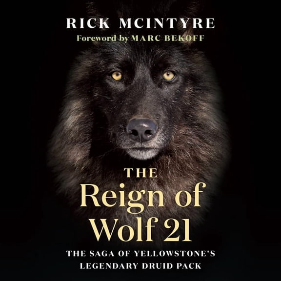 The Alpha Wolves of Yellowstone The Reign of Wolf 21: The Saga of Yellowstone's Legendary Druid Pack, Book 2, (Hardcover)