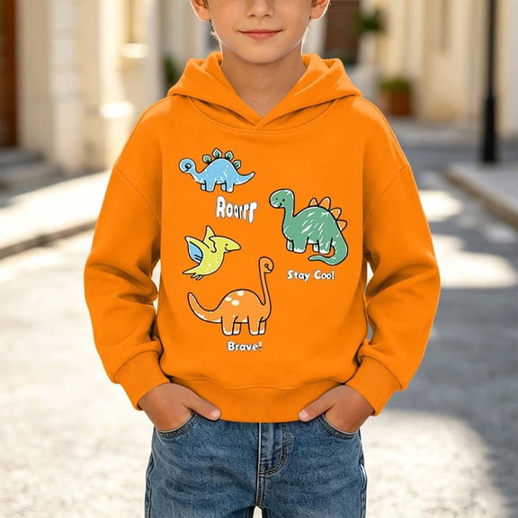 Toddler Boys Graphic Hoodie Long Sleeve Casual Cute Pullover Kids Cotton Sweatshirt Orange 4 T