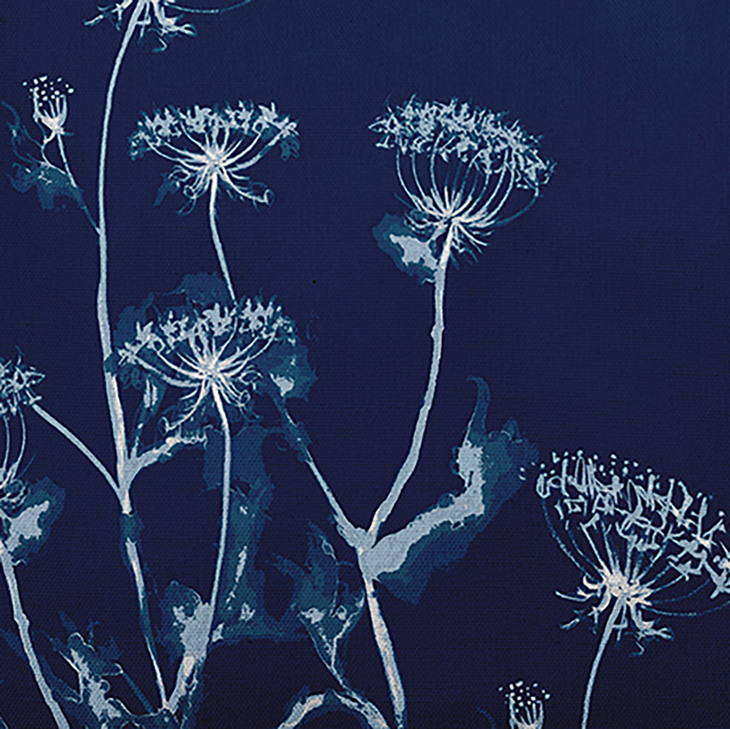 Simply Daisy Breezy Wildflower Outdoor Pillow, Dark Blue/White, 14 in x 20 in