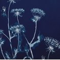 thumbnail image 2 of Simply Daisy Breezy Wildflower Outdoor Pillow, Dark Blue/White, 14 in x 20 in, 2 of 3