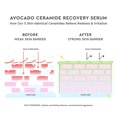 thumbnail image 4 of Serum Glow Recipe, ceramida de aguacate, 30 ml, para aliviar el enrojecimiento, 4 of 9