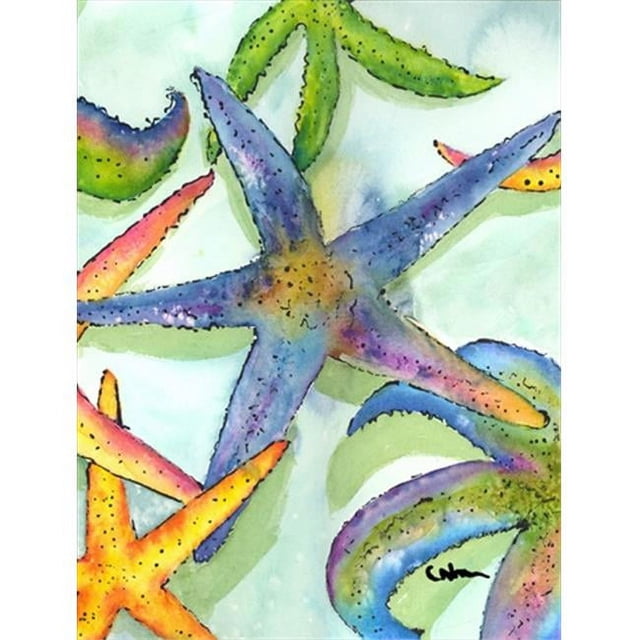 Carolines Treasures 8542CHF Starfish Flag Canvas House Size