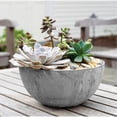 thumbnail image 2 of Root & Vessel Napa Bowl Planter, Gray, 10", 2 of 6