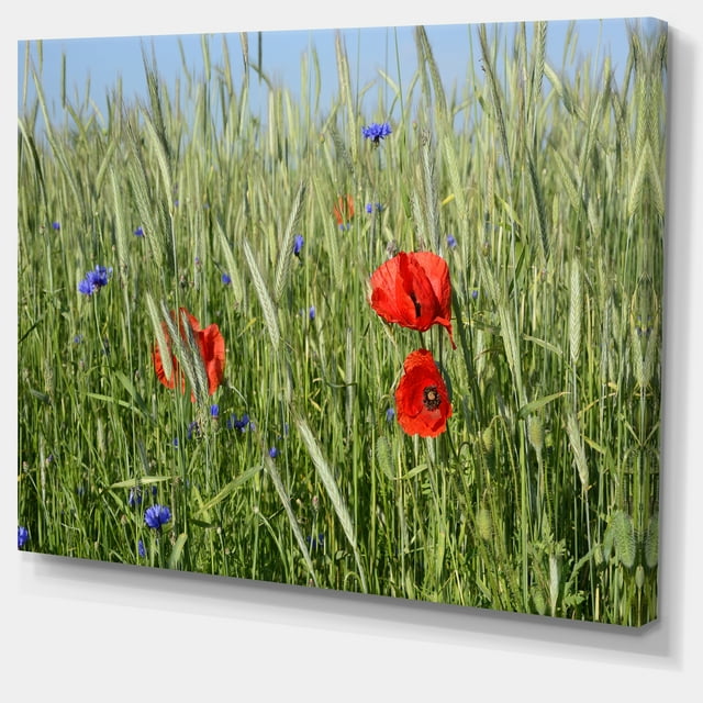 Designart - Rural Landscape with Red Poppies - Large Landscape Canvas Art
