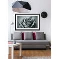 thumbnail image 4 of "Classic Rose in Grey" Framed Painting Print, 4 of 4