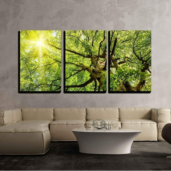 wall26 Sun Shining Through Treetops - Canvas Art Wall Decor-24 x36 x3 Panels