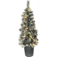 thumbnail image 2 of Puleo International Sterling Pine 4.5 ft. Pre-Lit Potted Christmas Tree, 2 of 6