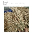 thumbnail image 4 of Decodeary Dry Rabbit Wedding Decor Festival Accessories Multipurpose Long-lasting Arrangements Household Ornamental DIY Prop 1Set, 4 of 6