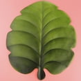 thumbnail image 2 of Hojas de Monstera artificiales Hojas tropical Posavasos de hojas Manteles individuales Luau Decoraciones para bodas segundo Gloria Monstera Leaf Coasters, 2 of 9