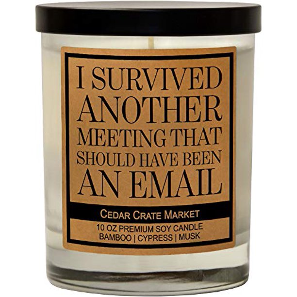 I Survived Another Meeting That Should Have Been An Email Funny Candles For Women Gift Men Girlfriend Coworker Work From Home Gift Scented Decorative Inspirational Candles Funny And Sassy Gift Walmart Com