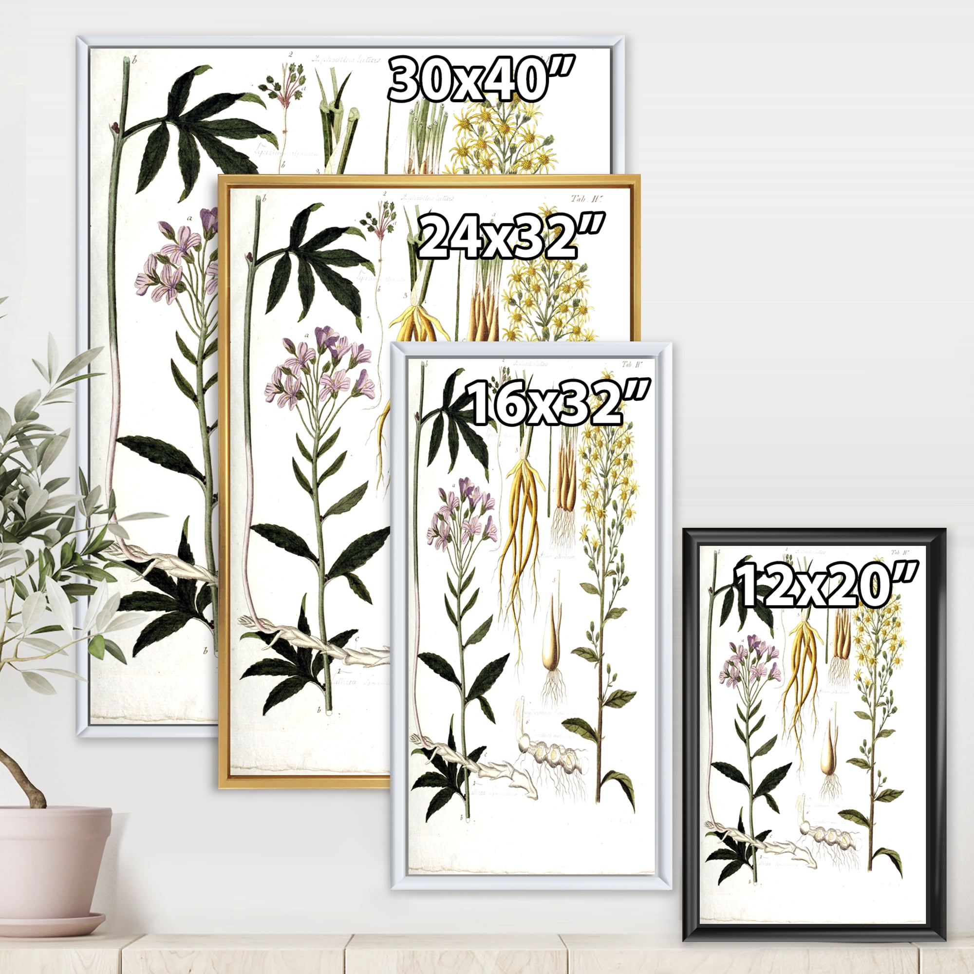 Designart 'Ancient Plant Life VIII' Farmhouse Framed Canvas Wall Art Print