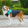 thumbnail image 5 of Warm Dog Clothes Pet Coat Winter Vest Padded Zipper Jacket Dog Clothing for Small Medium Big Dogs Outfit Blue L, 5 of 5