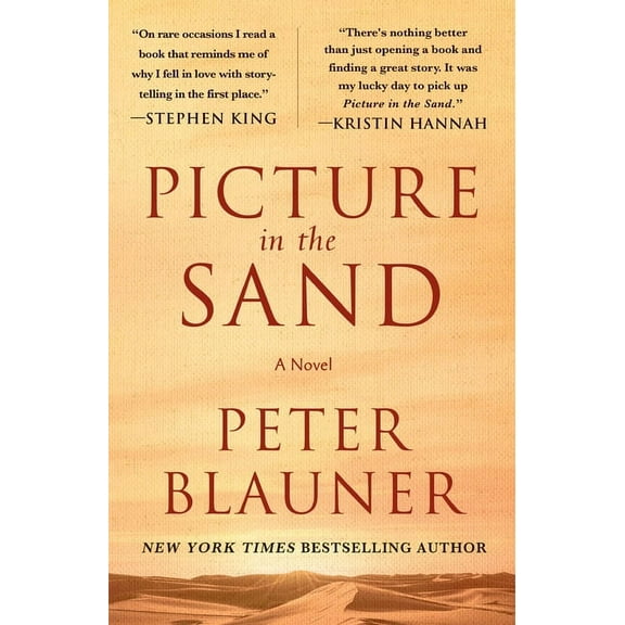 Picture in the Sand, (Paperback)