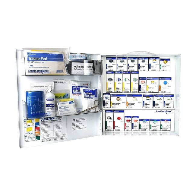 First Aid Kit and Housing, Metal Cabinet, 391 Components, 100 People Served 91376