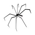 thumbnail image 1 of Adornos de Halloween Gigantes, Enormes, Realistas, Ligeros, Coleccionables, Adornos de Animales Realistas para Patio Y Jardín., 1 of 9