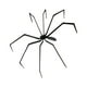 thumbnail image 1 of Decoración de araña de Halloween, adorno, aterrador, accesorio decorativo, juguete de animal realista para pared interior y exterior, patio, porche,, 1 of 8