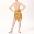 thumbnail image 6 of Sgkm Girls Dresses Vintage Sequins Fringe Party Dress with Gloves Latin Dance Girls Clothes Performance Costume, 6 of 7