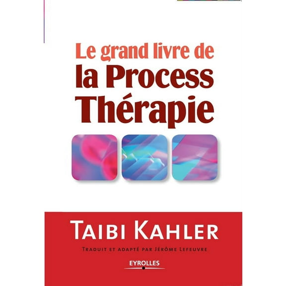 Le grand livre de la process thérapie (Paperback)