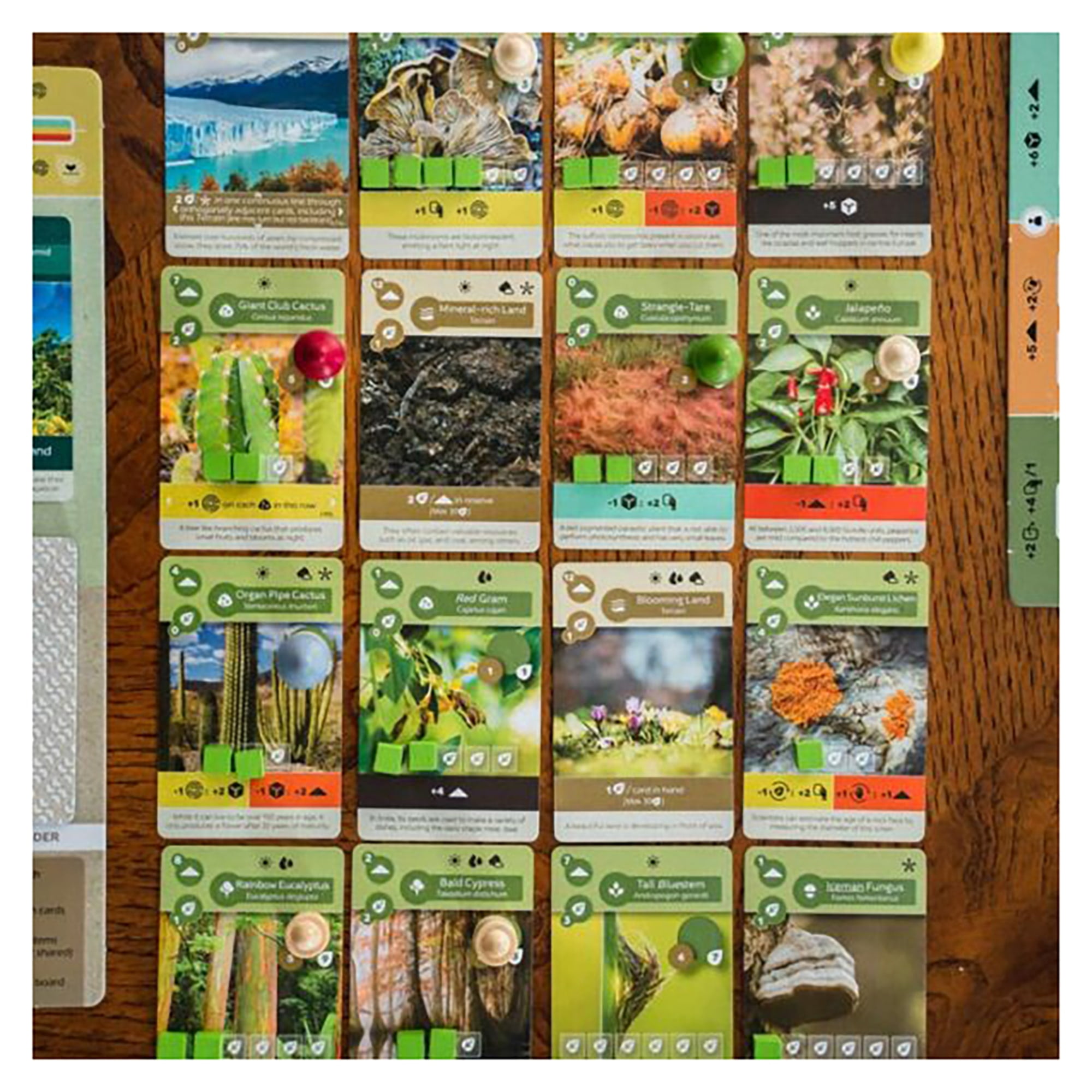 Inside Up Games & Maxime Tardif Earth ボードゲーム エコシステム構築 カード製図 アクション選択