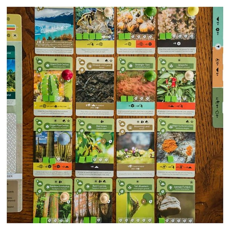 EARTH CARD ユーティリティカード 【公式通販】
