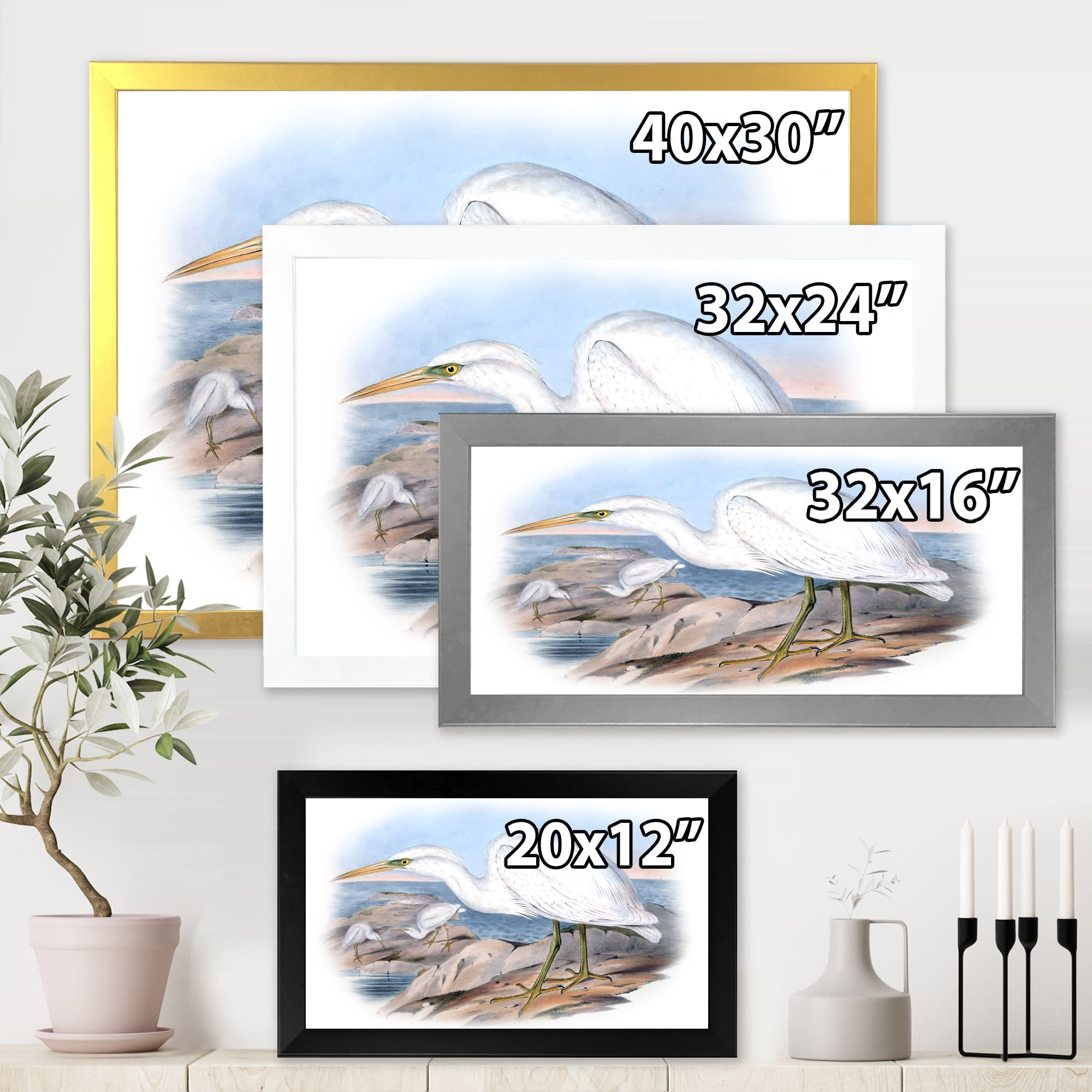 Designart 'Ancient Australian Birds XIII' Traditional Framed Art Print