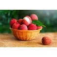 thumbnail image 5 of Fresh Lychees, Each, 5 of 9