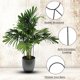 thumbnail image 2 of Enrejado para plantas de interior de 4 piezas Enrejado para plantas de interior, enrejado para plantas trepadoras de metal, soporte para plantas en macetas, es un gran regalo para un amigo TUNC Sencillez, 2 of 5