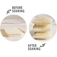 thumbnail image 2 of Esponja de lufa natural CHAO biodegradable paquete de 6, 2 of 5