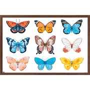 Watercolor Butterflies