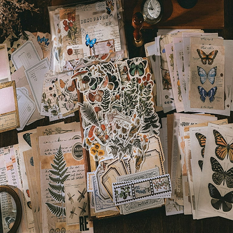  FADUOFA 200 Pieces Vintage Scrapbook Supplies Pack for Junk  Journal Planners DIY Paper, Aesthetic Cottagecore Picture Scrapbook  Stickers for Journaling Album Art Craft(Time Memory)