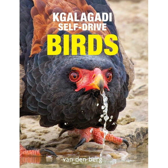 Kgalagadi Self-Drive Birds, (Paperback)