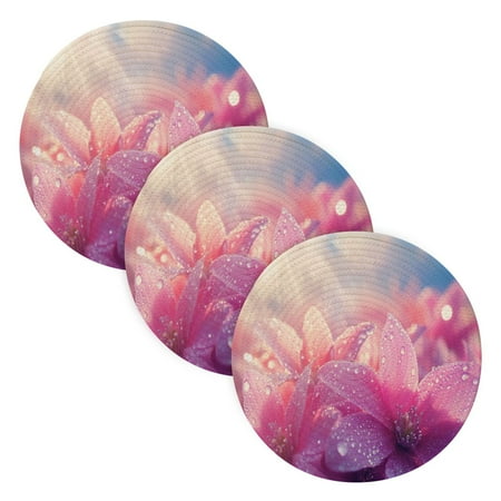 

BZSMCE Mats for Pots Pans Place Pink Flowers with Dewdrops Simple Style Pattern Pot Mats