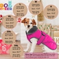 thumbnail image 2 of Abrigo de Invierno Impermeable Dogcheer para Perros para Clima Frío Rosa XL, 2 of 6