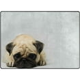 thumbnail image 3 of FREEAM Cute Pug Dog Non Slip Area Rug for Living Dinning Room Bedroom Kitchen, 5' x 7'(58 x 80 Inch), Animal Dog Nursery Rug Floor Carpet Yoga Mat, 3 of 6