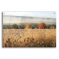 thumbnail image 1 of Epic Art 'Autumn Shades' by Lori Deiter Acrylic Glass Wall Art, 36"x24", 1 of 8